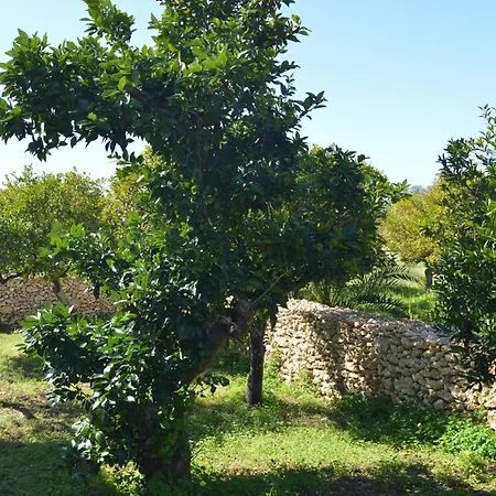 Tenute Masseria Notari Farm stay *
