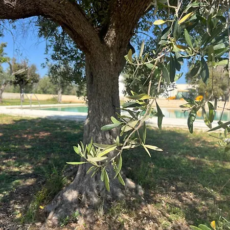 Tenute Masseria Notari Κατάλυμα σε φάρμα