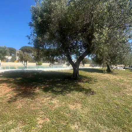 Tenute Masseria Notari *