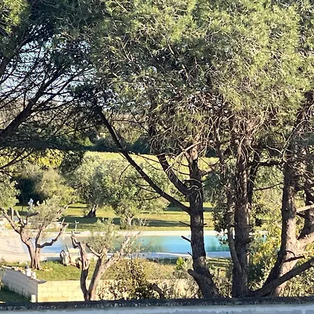 Tenute Masseria Notari